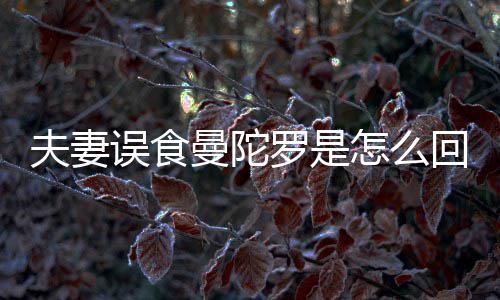 误食陀罗怎么回事还是到底毒是药曼陀曼罗是夫妻